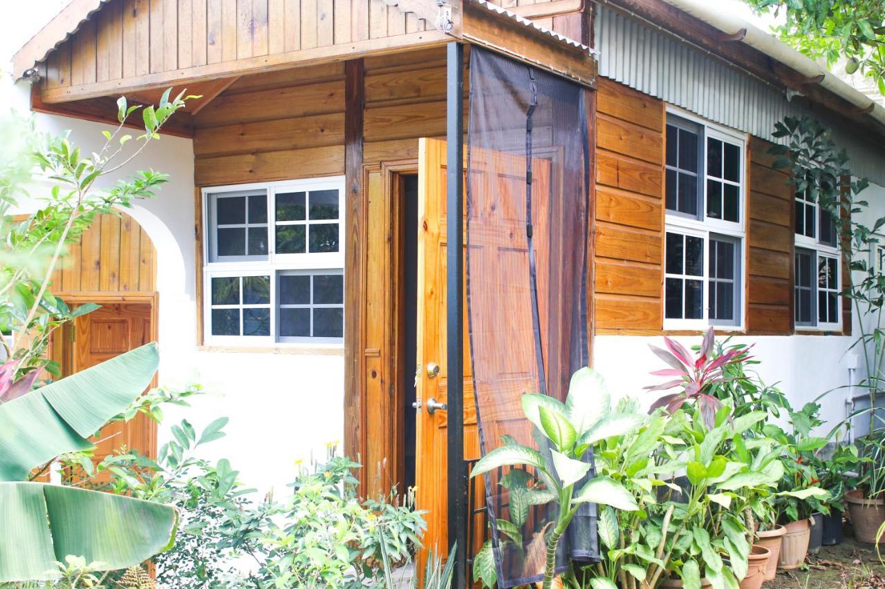 Van Villa Guesthouse Negril Exterior photo